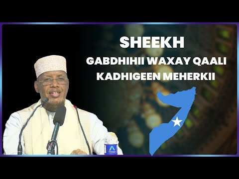 Sheekh Gabdhihii waxay qaali kadhigeen Meherkii ||