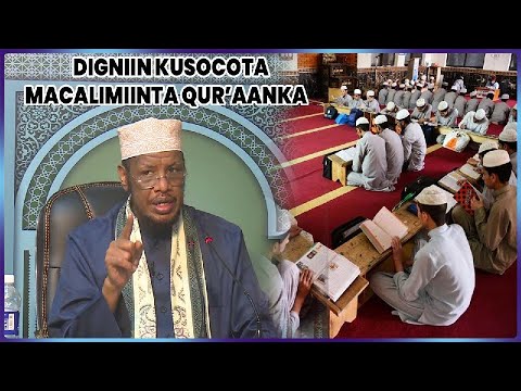 Digniin & talo kusocota Macalimiinta Quraanka || Sh Maxamed Cabdi Umal