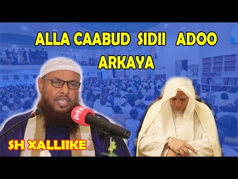 Alle caabud sidii adoo arkaya ||Sh Maxamud Xalliike