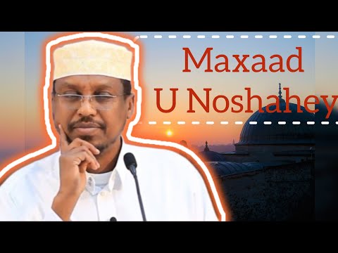 Maxaad U Nooshahay..? || Dhirigalin || Sheikh mustafa xaji ismail harun @Salafmedia