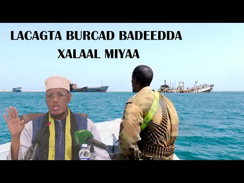 lacagta Budhcad badeedda xalaal miyaa? || Sh Maxamed Cabdi Umal