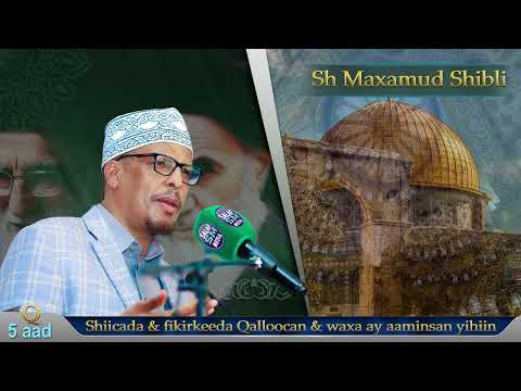 Q 5aad || Shiicada fikirkooda Qalloocan iyo waxa uqarsoon || Sh Maxamud Shibli