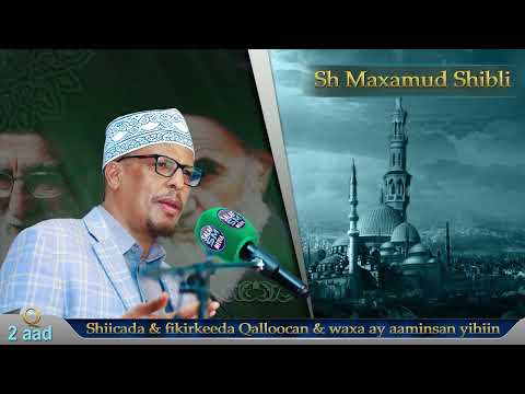 Q 2aad || Shiicada fikirkooda Qalloocan iyo waxa uqarsoon || Sh Maxamud Shibli