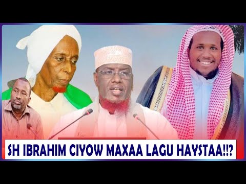 Sh Maxamed Umal || Sh Ibrahim ciyow maxaa lagu haystaa!?